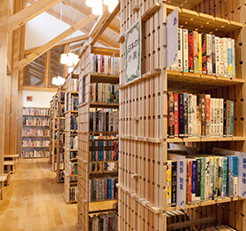 Western Hemlock Book Shelf