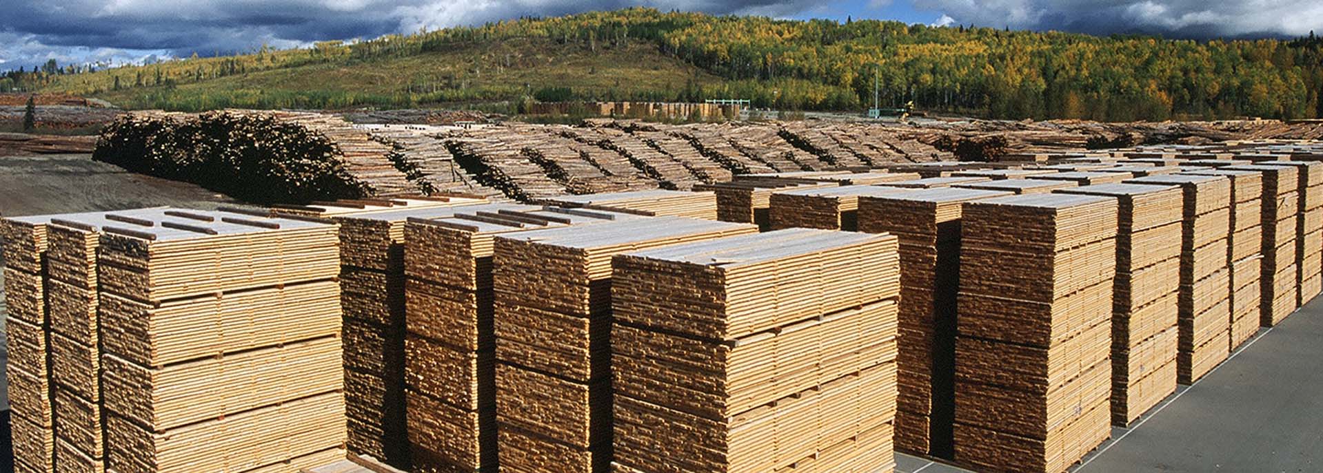 Lumber from Canadian Wood species