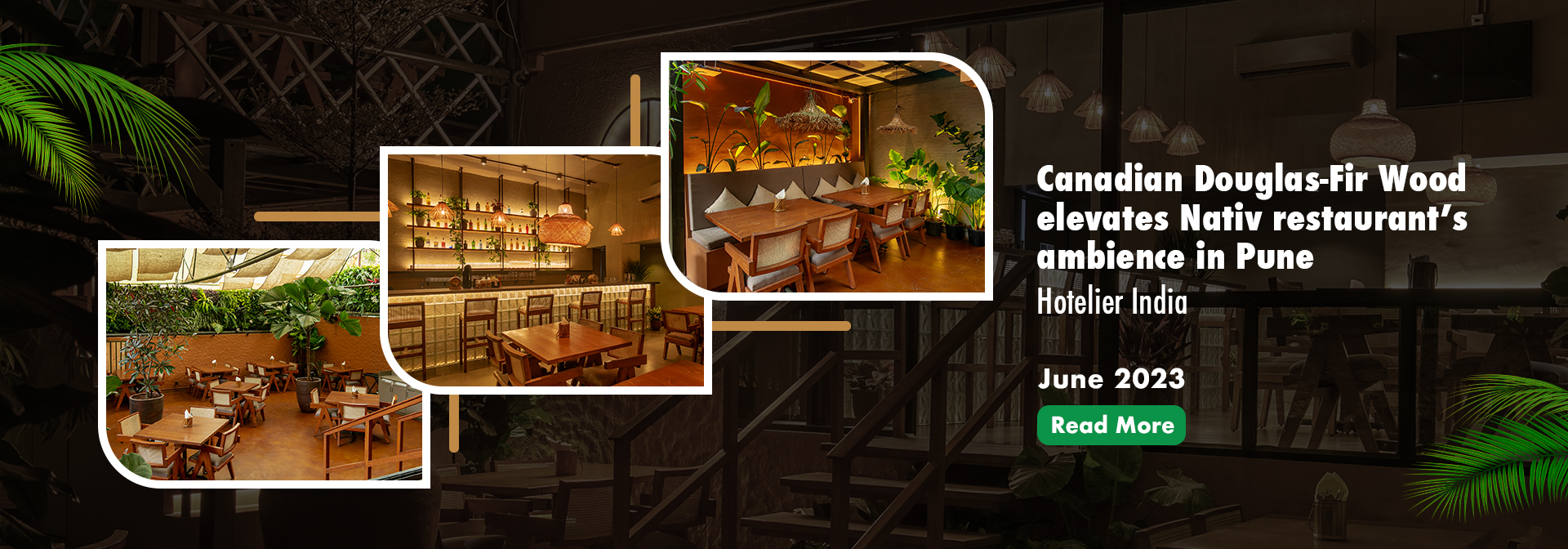 Canadian Dauglas-Fir Wood elevates Nativ Restaurants ambience in Pune