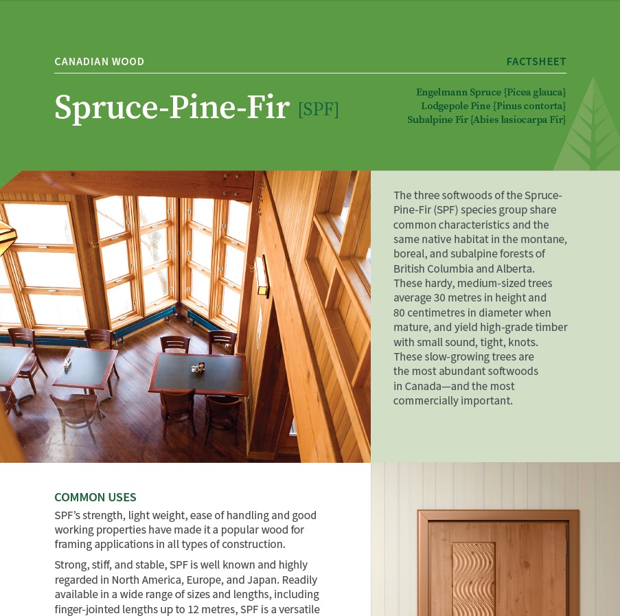 Spruce Pine Fir from Canada