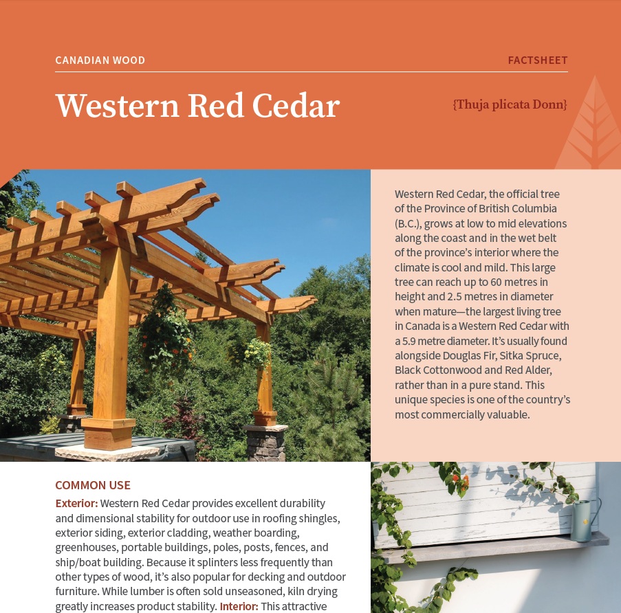 Western Red Cedar from Canada